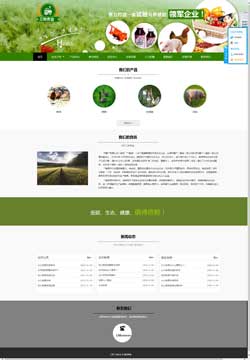 农业网站模板浅清爽